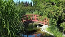 Lotosgarten in Rothenburg | Bild: BR