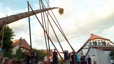 Kerwa-Baum aufstellen in Effeltrich | Bild: BR