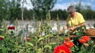 Blumen vom Feld | Bild: BR