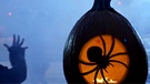 Kürbisse für Halloween | Bild: BR