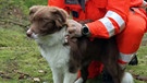 Rettungshund des BRK | Bild: BR