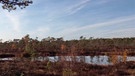 Das Schwarze Moor im Biosphärenreservat Rhön | Bild: BR