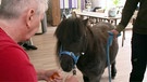 Pony im Seniorenheim | Bild: BR