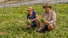 Melonen aus Bayern von Johannes und Anna-Sophie Dittert | Bild: BR/André Goerschel