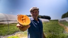 Schmidt Max testet Melonen aus Bayern | Bild: BR/André Goerschel