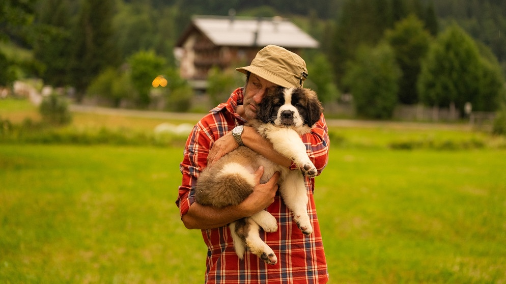 Mit Welpen und Hunden auf Bergtour | Bild: André Goerschel