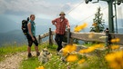 Mit Welpen und Hunden auf Bergtour | Bild: André Goerschel