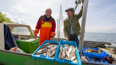 Die vergessenen Fische vom Bodensee | Bild: André Goerschel