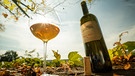 Schmidt Max, Orange Wine und das Friaul | Bild: André Goerschel