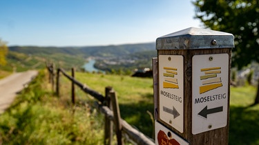 Unterwegs im Weinland Mosel mit dem Schmidt Max  | Bild: André Goerschel