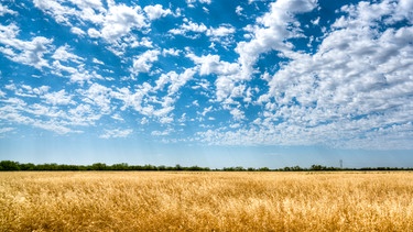 Wolken wie Zupfwolle | Bild: Michael Sachweh