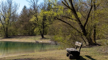 Am Ufer des Regattaparksee bei Oberschleißheim. | Bild: BR/Sylvia Bentele