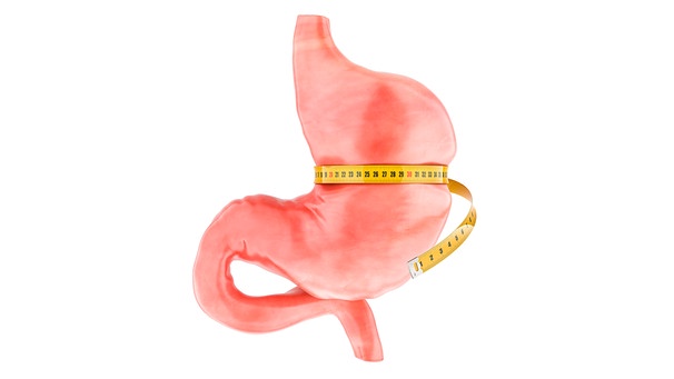 Human stomach with measure tape around. Obesity, diet and weight loss or gastric resection, concept. 3D rendering isolated on white background | Bild: picture alliance / Zoonar | alexlmx