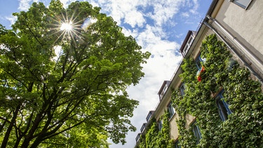 Bäume und Gebäude in München mit blauem Himmel | Bild: picture alliance / Westend61 | Maria Moar