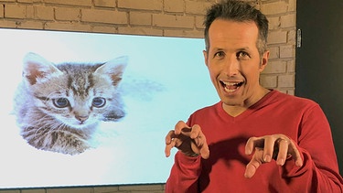 Gut zu Wissen Moderator Willi Weitzel informiert über ein Streunverbot von Katzen | Bild: BR