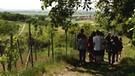 Schulkasse auf ihrem Wanderweg in Franken. | Bild: BR