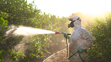 Feld wird mit Pestiziden besprüht. Wie viel Gift verträgt die Welt? | Bild: picture alliance / Westend61 | David Moreno Hernandez