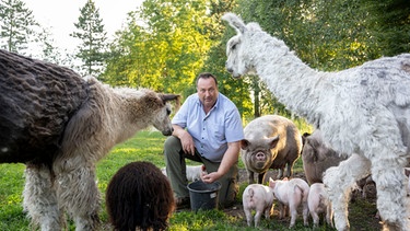 Ludger Bremehr wird auf der Weide umringt von Alpakas und Schweinen. | Bild: WDR/Melanie Grande