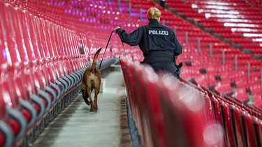 Eine Polizeihündin sucht während einer Sicherheitsüberprüfung nach Sprengstoff in einem Fußballstadion. | Bild: picture alliance/dpa | Jan Woitas