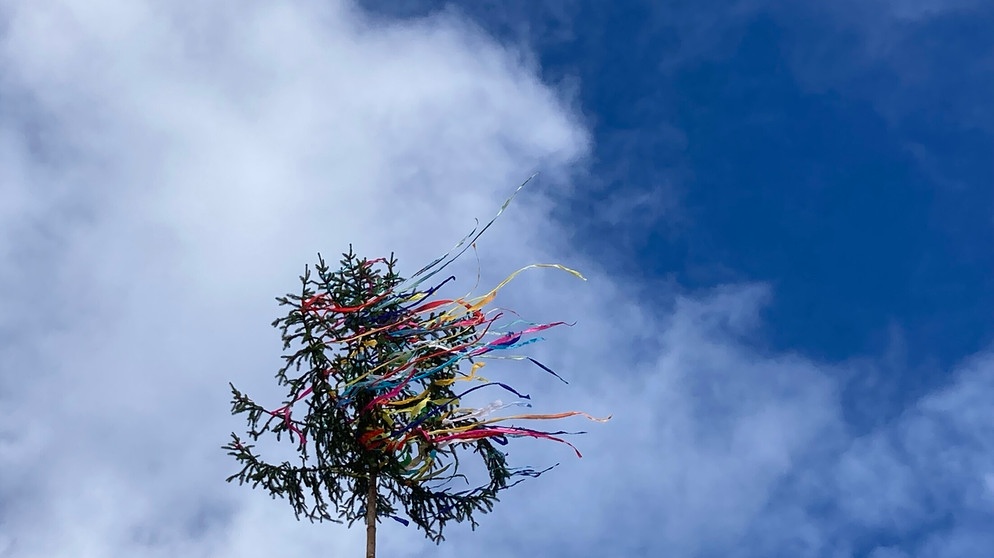 Kerwabaum vor einem blau-weißen Himmel. | Bild: BR, Bewegte Zeiten Filmproduktion GmbH