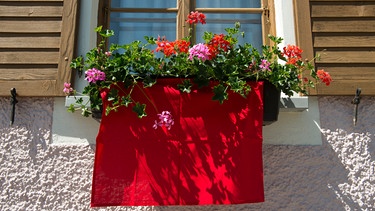 Mit einem roten Tuch geschmücktes Fenster an Fronleichnam in einem oberbayerischen Dorf. | Bild: BR