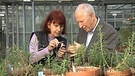 Dr. Ehrentraud Bayer und Jürke Grau im Botanischen Garten | Bild: BR