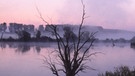 Altwasser der Donau bei Straubing | Bild: BR/Jürgen Eichinger