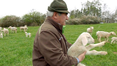 Sepp Hartl mit Lamm auf Weide | Bild: BR / Markus Schmidbauer