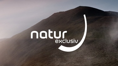 natur exclusiv Doku BR Fernsehen Fernsehen BR.de