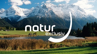 Sendereihenlogo Natur exclusiv, Schmalensee mit Karwendel | Bild: BR/Jürgen Eichinger