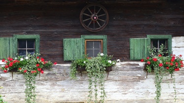 Fenster mit Geranien an einer Almhütte. | Bild: stock.adobe.com/Turi