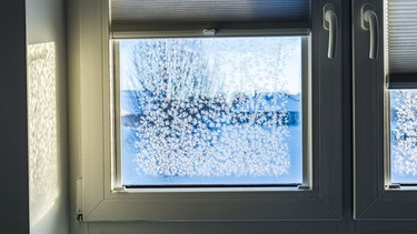 Fenster mit Eisblumen an den Fensterrscheiben. | Bild: stock.adobe.com/Christian Schwier