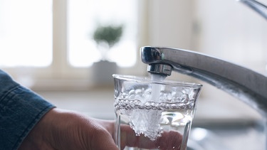 Jemand füllt am Wasserhahn ein Glas mit Leitungswasser. | Bild: BR/Lisa Hinder