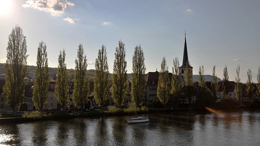Blick über den Main auf Margetshöchheim bei Würzburg mit seiner Pappelallee im Abendlicht. | Bild: BR/Ansgar Noeth