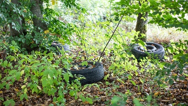 Entsorgte Autoreifen in einem Wald. | Bild: BR/Johanna Schlüter