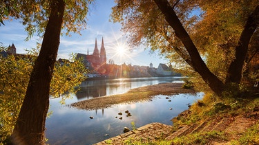 Blick auf den Regensburger Dom im Herbst. | Bild: stock.adobe.com/Thomas