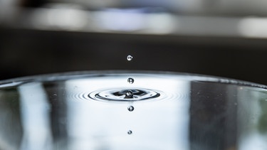 Ein Wassertropfen trifft auf eine Wasseroberfläche. | Bild: BR/Leon Baatz