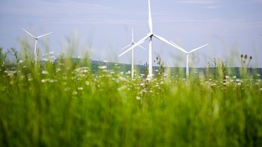 ARCHIV - 22.05.2023, Niedersachsen, Gestorf: Windräder drehen sich auf einem Feld. Der Ausbau der Windenergie an Land ist in Niedersachsen 2024 nur schleppend vorangekommen.  (zu dpa: «Ausbau der Windkraft geht nur langsam voran - Ziel verfehlt») Foto: Julian Stratenschulte/dpa +++ dpa-Bildfunk +++ | Bild: dpa-Bildfunk/Julian Stratenschulte