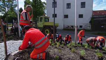 Öffentliches Grün | Bild: BR