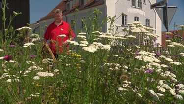 Öffentliches Grün | Bild: BR