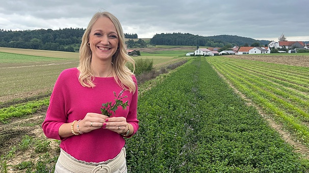 Eva Walig, Moderatorin der Sendung Schwaben + Altbayern im BR Fernsehen | Bild: BR / Eva Frühbuss