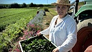 Auf ihrem Hof baut sie Bio-Kräuter an und bietet Software-Support für landwirtschaftliche Geräte. Lucia Birkmeir will eine nachhaltigere Landwirtschaft leben. | Bild: Julia Seidl