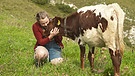 Sennerin Johanna Deml nimmt nach einem langen Almsommer Abschied von der Halsalm und den Kühen | Bild: BR
