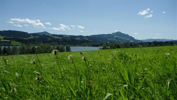 Sommer in Schwaben | Bild: BR