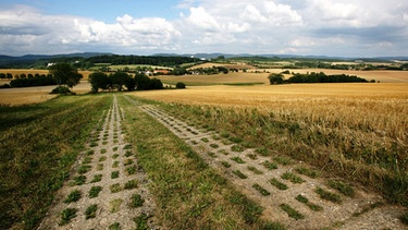 Ehemaliges Grenzgebiet | Bild: picture-alliance/dpa