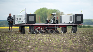 KI in der Landwirtschaft | Bild: picture-alliance/dpa