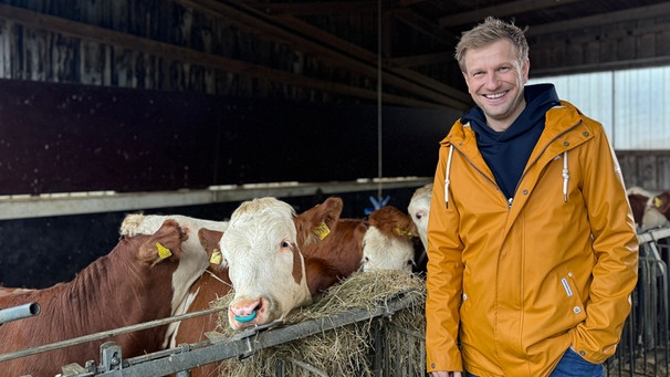 "Unser Land"-Moderator Florian Kienast im Kuhstall | Bild: BR/Laura Zirkel