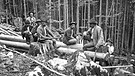 Holzknechte bei der Rast im Wald | Bild: picture alliance / ÖNB-Bildarchiv/picturedesk