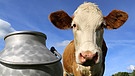 Symbolbild: Kuh auf der Wiese, im Vordergrund eine Milchkanne | Bild: picture alliance / CHROMORANGE | Udo Herrmann