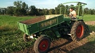 Der Fendt Geräteträger ist ein gefragter Oldtimer. Viele Landwirte nutzen den Schlepper bis heute. In Törring, einem Ortsteil von Tittmoning im Landkreis Traunstein, hat er eine besonders große Fan-Gemeinde, die sich regelmäßig trifft.  | Bild: BR